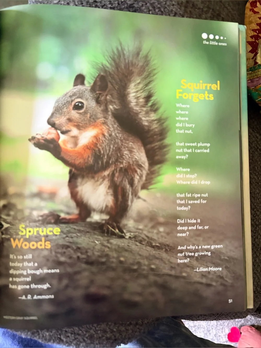 National Geographic Book of Animal Poetry